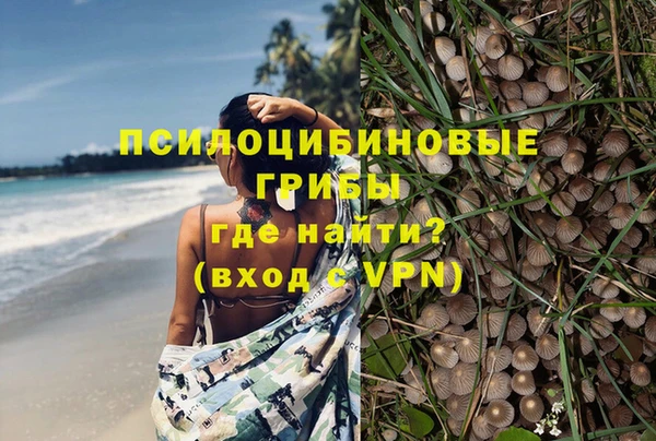 мескалин Надым