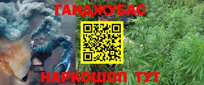 мяу мяу мука Беслан