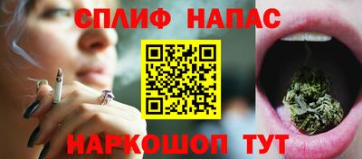 мяу мяу мука Беслан