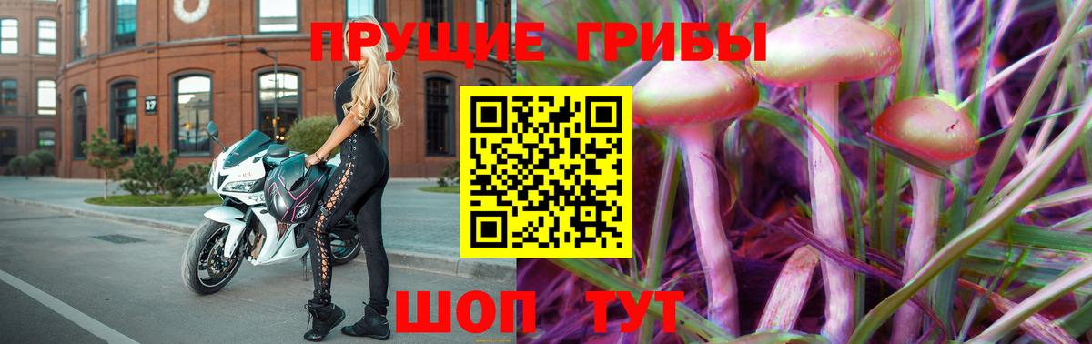 Псилоцибиновые грибы Psilocybe Уварово